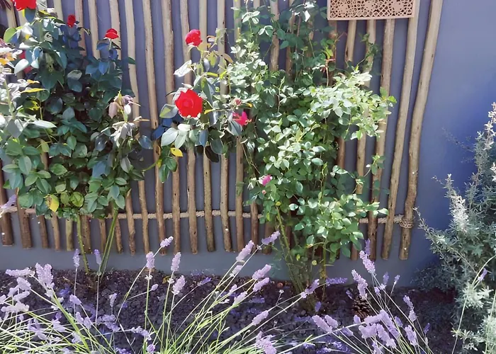 住宿加早餐酒店 D'hotes Authentique