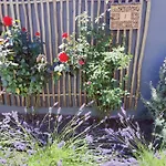 Bed and breakfast D'hotes Authentique
