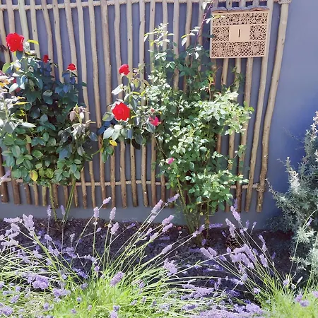 Panzió D'hotes Authentique