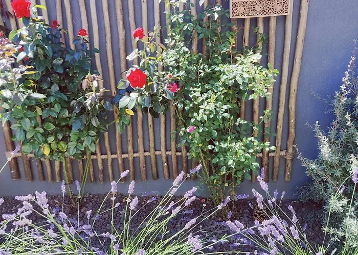 D'hotes Authentique فندق مبيت وإفطار 3*